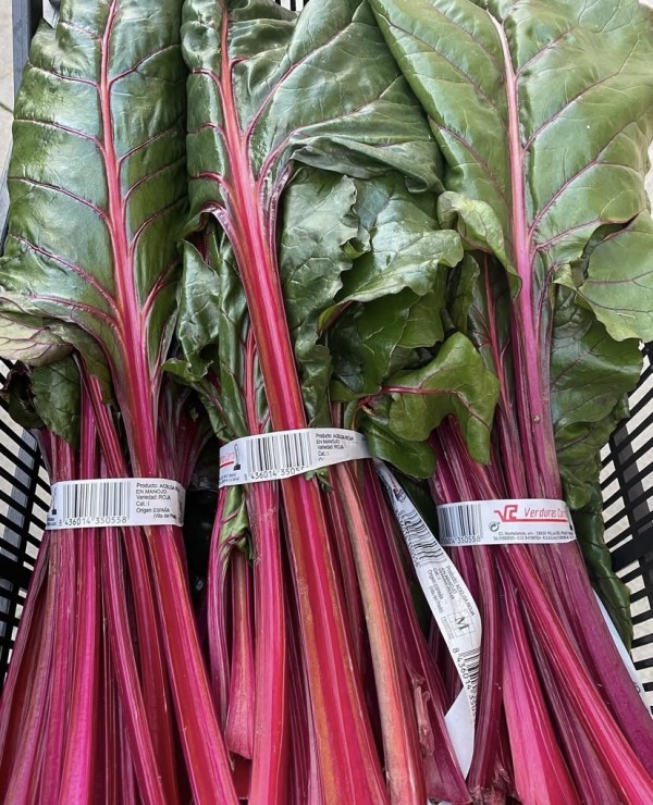 ACELGA ROJA