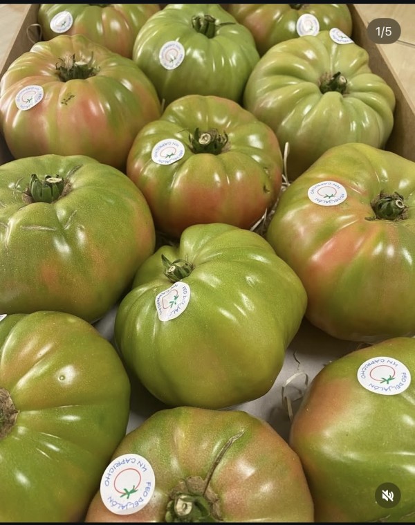 TOMATE ROSA