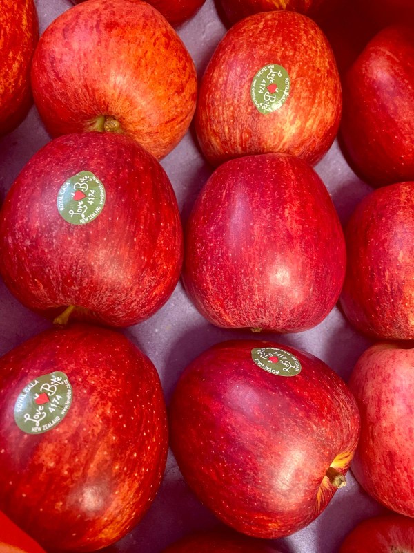 MANZANA ROYAL GALA