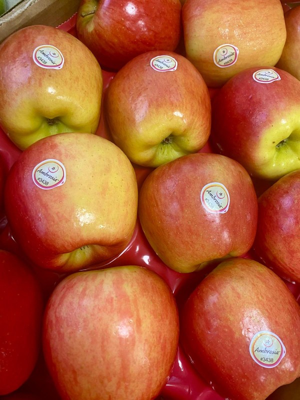 MANZANA AMBROSIA
