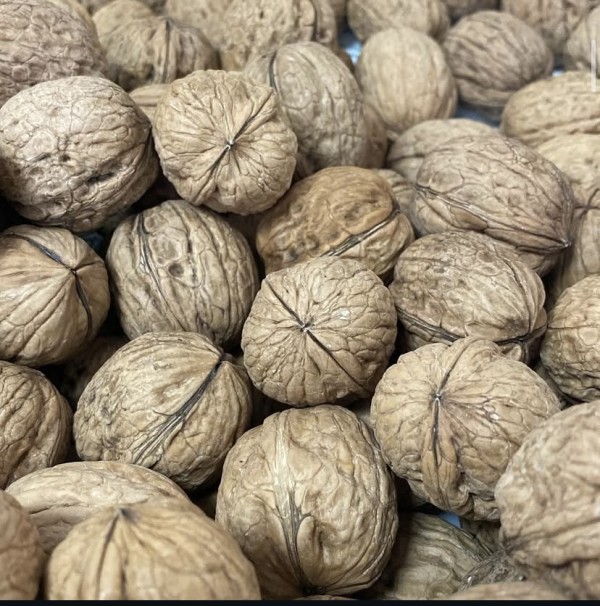 NUECES