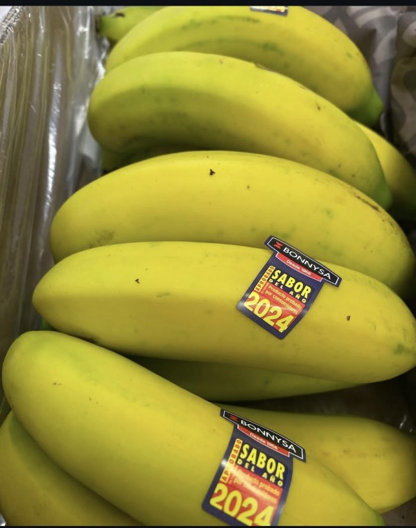 PLATANO