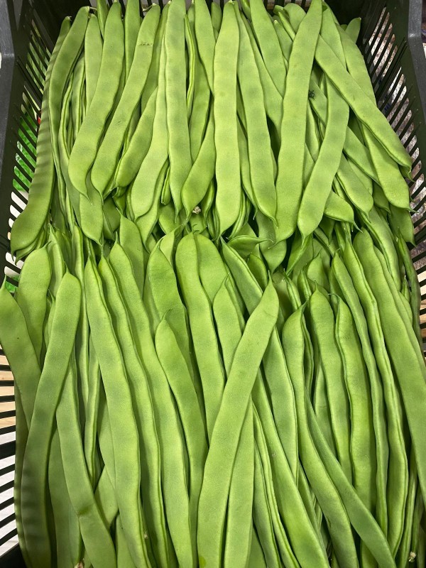 JUDIAS VERDES