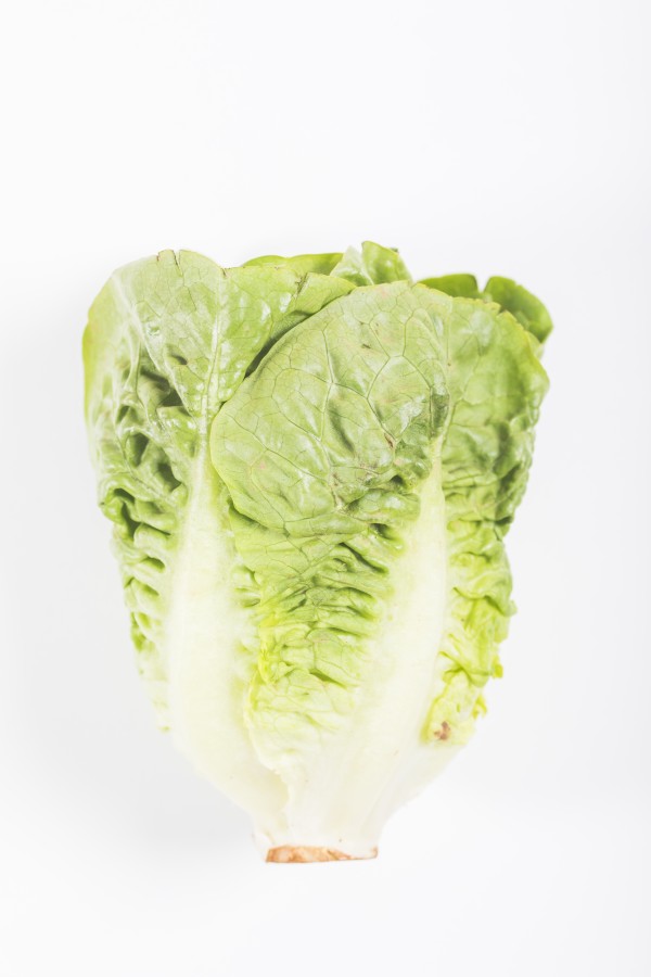 LECHUGA ROMANA BOLSA