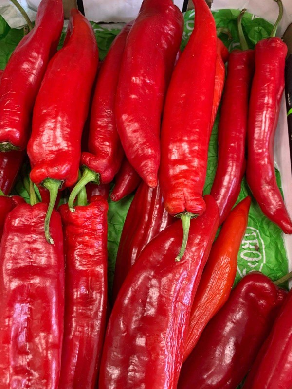 PIMIENTO ITALIANO ROJO