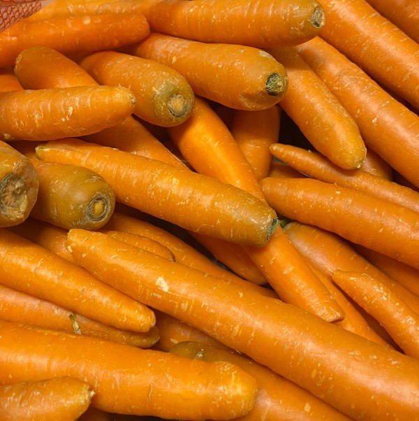 ZANAHORIA