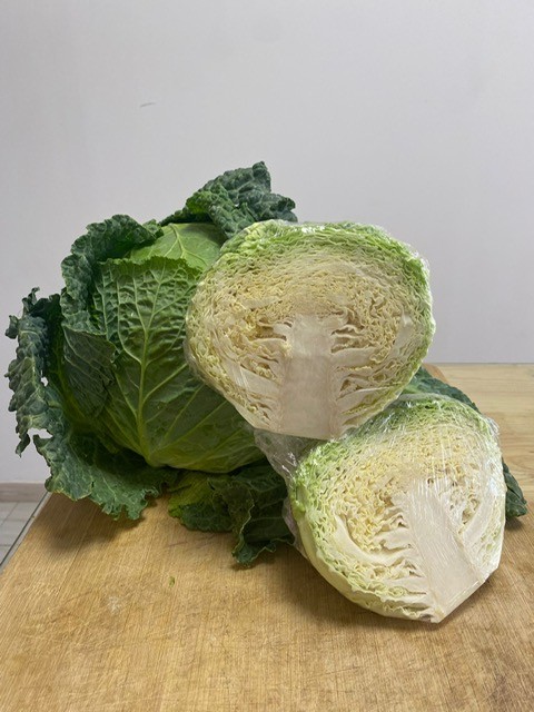 REPOLLO
