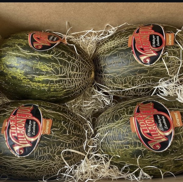 MEDIO MELON