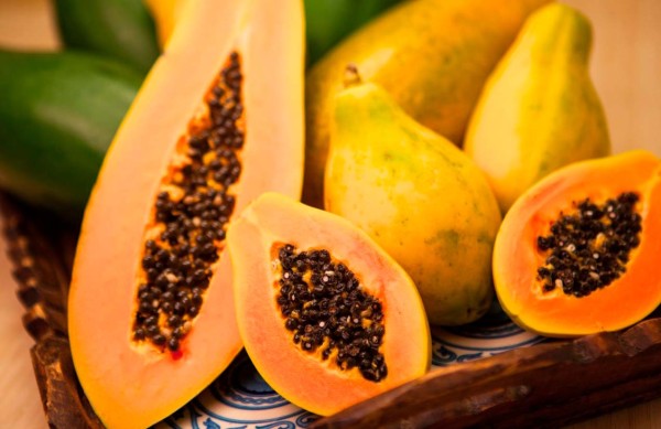 PAPAYA