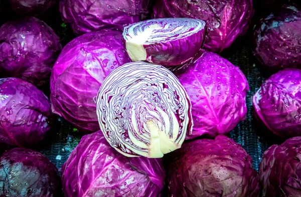 LOMBARDA